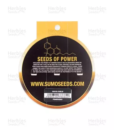Maya Gold (Sumo Seeds) Cannabis-Samen