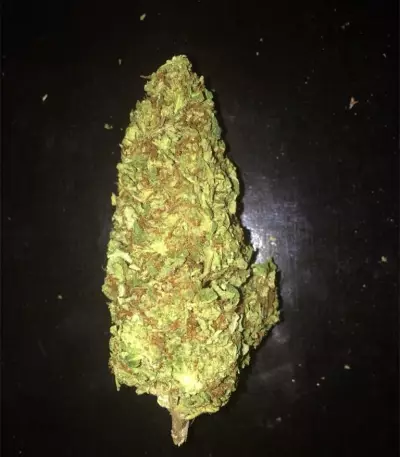 Pineapple Kush (RQS) Cannabis-Samen