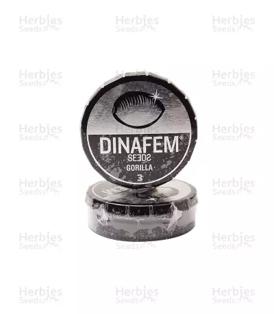 Gorilla (Dinafem Seeds) Cannabis-Samen
