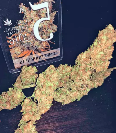 Wild Thailand (World of Seeds) Cannabis-Samen