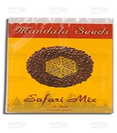 Safari Mix regular (Mandala Seeds) Cannabis-Samen