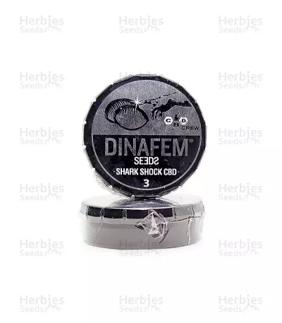 Shark Shock CBD (Dinafem Seeds) Cannabis-Samen