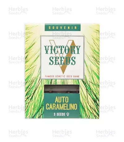 Auto Caramelino (Victory Seeds) Cannabis-Samen