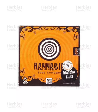 Russian Doll (Kannabia Seeds) Cannabis-Samen