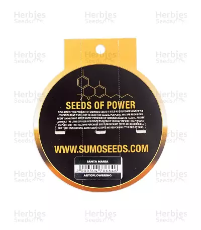 Santa Maria Auto (Sumo Seeds) Cannabis-Samen