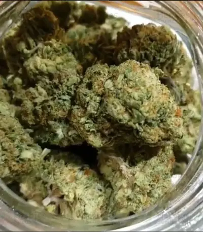 Phantom OG (Barney's Farm) Cannabis-Samen
