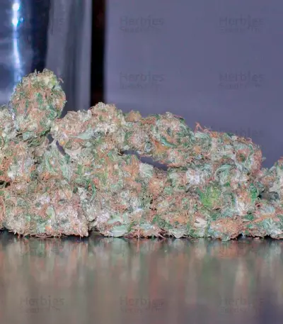 La Lybella (Dutch Passion) Cannabis-Samen