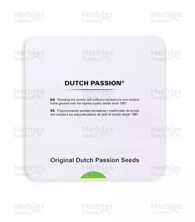 Blue Velvet (Dutch Passion) Cannabis-Samen