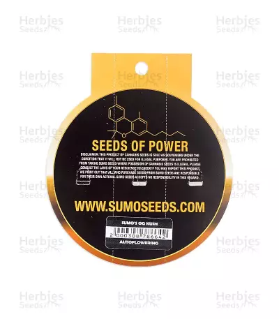 Sumo's OG Kush Auto (Sumo Seeds) Cannabis-Samen