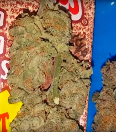 Bulk Smash Auto (Dr. Krippling Seeds) Cannabis-Samen