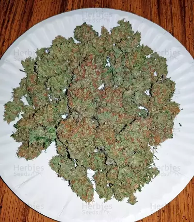 Strawberry Cake (Heavyweight Seeds)