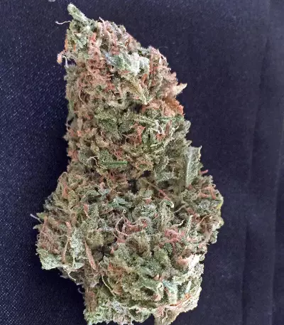 Afgooey (Strain Hunters) Cannabis-Samen