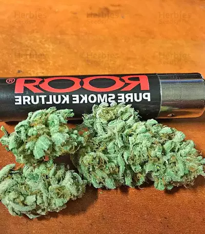 Strawberry Cake (Heavyweight Seeds)