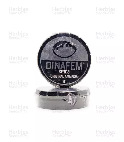 Original Amnesia (Dinafem Seeds) Cannabis-Samen