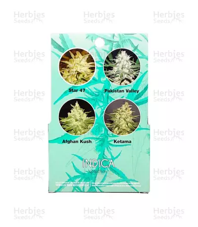 Indica Pure Origin Collection (World of Seeds) Cannabis-Samen