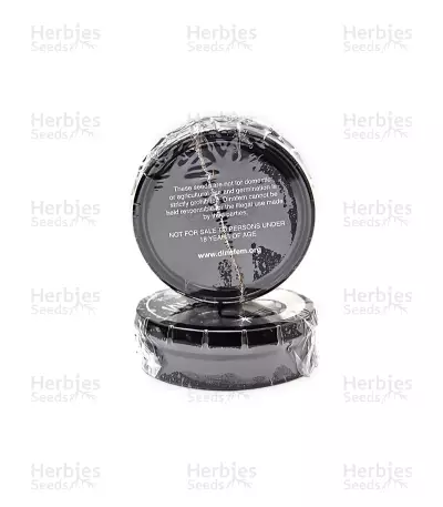 Remo Chemo (Dinafem Seeds) Cannabis-Samen