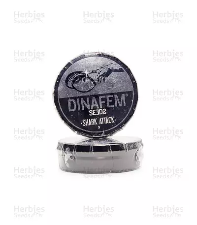 Shark Attack (Dinafem Seeds) Cannabis-Samen