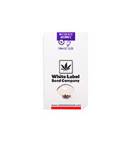 Master Kush Auto (White Label) Cannabis-Samen