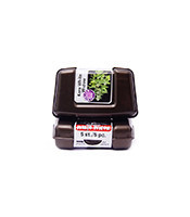 White Widow (Kera Seeds) Cannabis-Samen