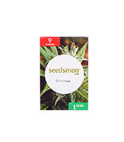 Candy Cream (Seedsman Seeds) Cannabis-Samen