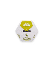 Blueberry (Zambeza Seeds) Cannabis-Samen