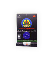 Blue Dynamite regular (Next Generation Seeds) Cannabis-Samen