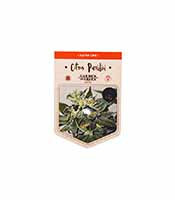 Citrus Paradisi (Garden of Green Seeds)