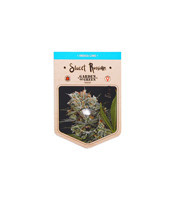 Sweet Russian (Garden of Green Seeds) Cannabis-Samen