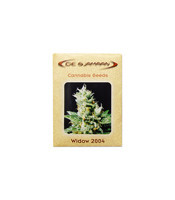 Widow 2004 regular (De Sjamaan Seeds) Cannabis-Samen