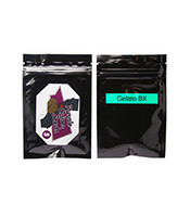 Gelato BX regular (Purple Caper Seeds) Cannabis-Samen