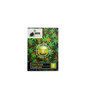 Edam Bomb (Cheese Bomb) (Bomb Seeds) Cannabis-Samen