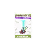 Royal Purple Kush Auto (Emerald Triangle Seeds) Cannabis-Samen