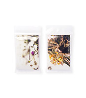 Baby Breath regular (Gage Green Group) Cannabis-Samen