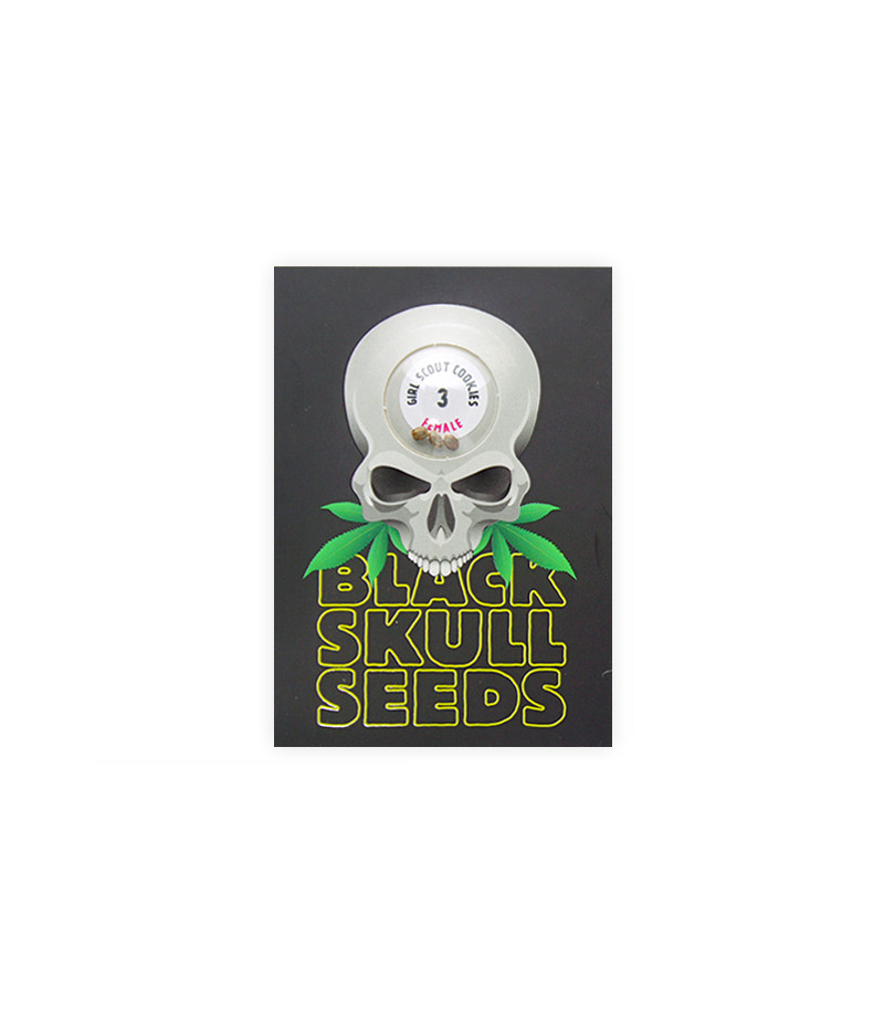 Girl Scout Cookies (Blackskull Seeds) Cannabis-Samen