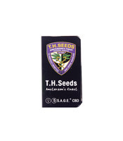 S.A.G.E. CBD (T.H. Seeds) Cannabis-Samen