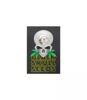 Pineapple Gum (Blackskull Seeds) Cannabis-Samen