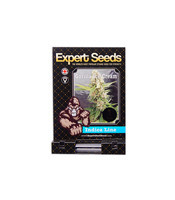 Gorilla Ice Cream (Expert Seeds) Cannabis-Samen