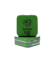 Girl Scout Cookies XTRM (The Bulldog Seeds) Cannabis-Samen