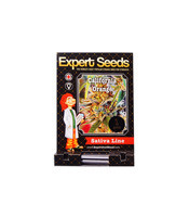 California Orange (Orange Skunk) (Expert Seeds) Cannabis-Samen