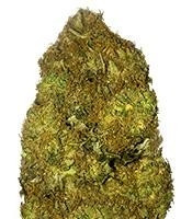 Skunky Monkey Auto strain