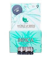 Indica Pure Origin Collection (World of Seeds) Cannabis-Samen